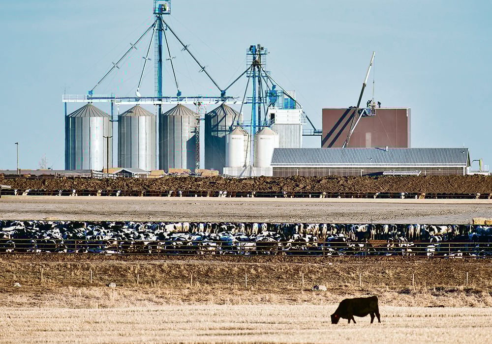 A professor from the University of British Columbia says social licence to continue raising food animals depends on the industry’s ability to keep in step with community values.  |  Mike Sturk photo