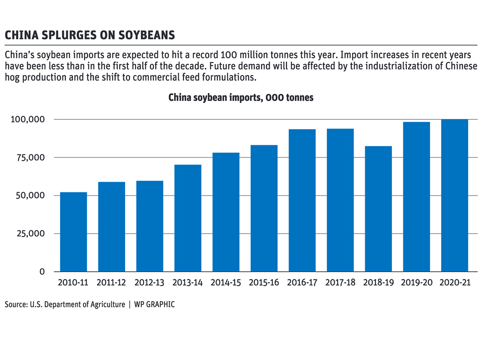 Will China’s hog sector industrialization hike crop imports?