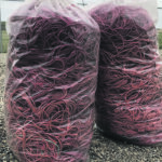 Cleanfarms plans to add twine collection at 30 Saskatchewan depots where it already collects grain bags. | Cleanfarms photo