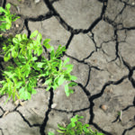 A national report has found that Canada is warming at twice the rate of the rest of the world, and the Prairies are warming more rapidly than other parts of the country, especially in winter. | File photo
