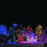 What started as a modest fundraiser has turned into a Christmas decoration extravaganza on Ian Moats’ acreage near McLean, Sask. | Christalee Froese photo