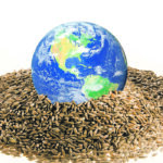 The global pandemic has been a boon for the grains and oilseeds sec-tor with countries like China stock-piling crops for fear of another COVID-induced trade disruption. | WP illustration