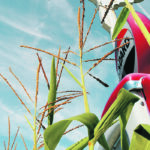 The biofuel industry is under pressure as fewer people commute to work and more electric vehicles are introduced to the market. | File photo