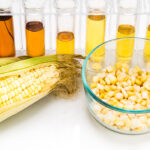 A spokesperson with Environment and Climate Change Canada (ECCC) said one new or expanded federal program aimed at agricultural producers expected to be developed or launched in 2021 is the establishment of a $1.5 billion Low-Carbon and Zero-Emissions Fuel Fund aimed at kick-starting domestic biofuel production capacity. | Getty Images