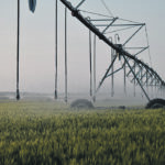 The 10-year, $4-billion project to expand irrigation from Lake Diefenbaker was announced in July and will include three phases of work. | File photo