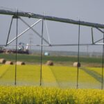 A Saskatchewan researcher says growers should not be afraid to apply more water if they are doing everything else right. | File photo