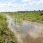 The Water Security Agency consulted extensively with industry and stakeholders in 2019 on how farmers’ and environmental needs could both be met, but a mitigation policy has not yet been announced.
| File photo