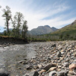 The ranchers fear easing rules on development will not only harm their cattle operations near the headwaters of the Oldman River but also risk polluting water used downstream by farmers and communities, such as Lethbridge and as far east as Saskatchewan.
| File photo