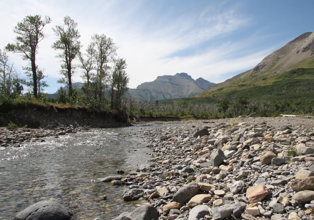 The ranchers fear easing rules on development will not only harm their cattle operations near the headwaters of the Oldman River but also risk polluting water used downstream by farmers and communities, such as Lethbridge and as far east as Saskatchewan.  | File photo
