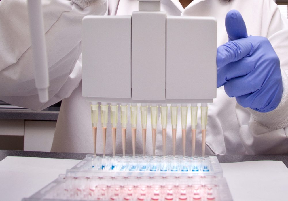 The funding will be delivered through Saskatchewan's Agriculture Development Fund, one of the primary funding sources for agricultural research projects that benefit Saskatchewan crop producers. | File photo