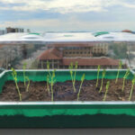 Guihua Yu, associate professor of materials science and engineering the University of Texas at Austin, and his team designed a self-watering soil to harvest atmospheric water as a new fresh-water resource for irrigation.
| Image via utexas.edu