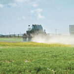 At the University of California, Santa Barbara, scientists found less diverse croplands led to greater variability in pesticide use and higher peak pesticide application, underscoring the fact that pest insects benefit from larger farms and less diverse crop production.
| File photo