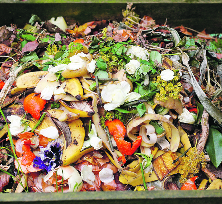 Should livestock be fed our leftovers? The Western Producer