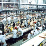 To date, there is no indication temporary foreign workers or people employed in meat packing facilities have received the vaccine anywhere in Canada. | File photo