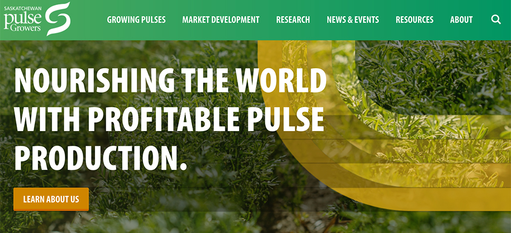 For the first time in a long time Saskatchewan Pulse Growers is budgeting a $4.3 million net surplus for 2020-21, due primarily to rebounding pulse prices and demand. | Screencap via saskpulse.com