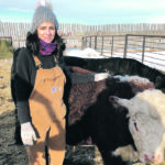 Julie Mortenson has helped hundreds of students get to know this bull calf through the Classroom Cattle project. | Supplied photo