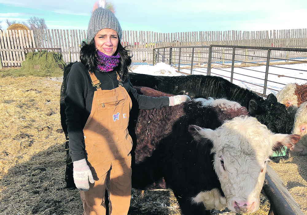Julie Mortenson has helped hundreds of students get to know this bull calf through the Classroom Cattle project.  | Supplied photo