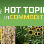The free sessions each feature a look at market demand and fundamentals provided by MarketsFarm analysts as well as a presentation on a current production issue. Opportunities to earn CCA CEU credits will be available.