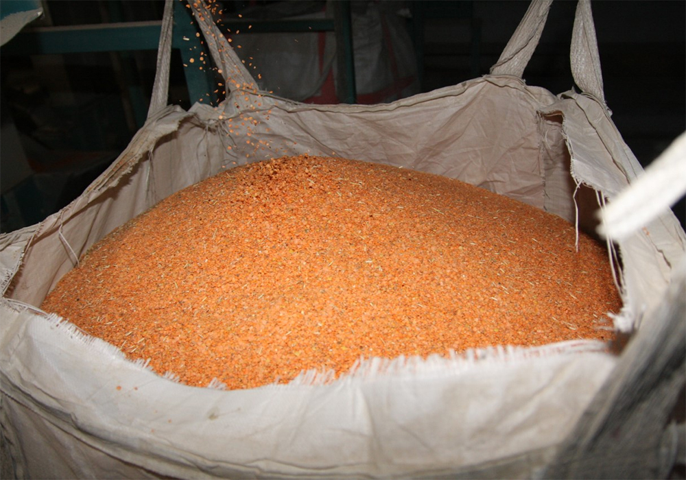 Mostyn Gregg, a trader with Agrocorp International in Australia, recently told the Global Pulse Confederation that he anticipates one million tonnes of Australian production. | File photo