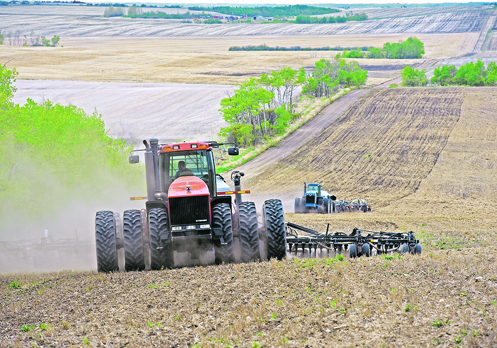 Alberta’s conservation cropping protocols are based on the fact that reduced soil disturbance during cropping creates a carbon sink.  | File photo
