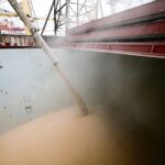 Imported wheat is popular because it is much cheaper than China's domestic wheat and offers millers a broader range of quality and classes than they can get at home. | Reuters/Ben Nelms photo