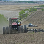 The most watched seeding intention is canola, and Agriculture Canada is predicting a three percent increase to about 21.4 million acres. | File photo