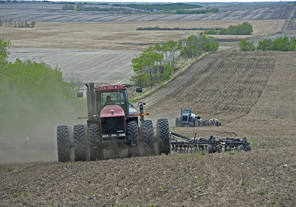 The most watched seeding intention is canola, and Agriculture Canada is predicting a three percent increase to about 21.4 million acres. | File photo