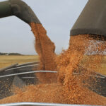 Crop futures have witnessed a stunning rally since late last summer, soaring far beyond the expectations of any but a few analysts. | File photo