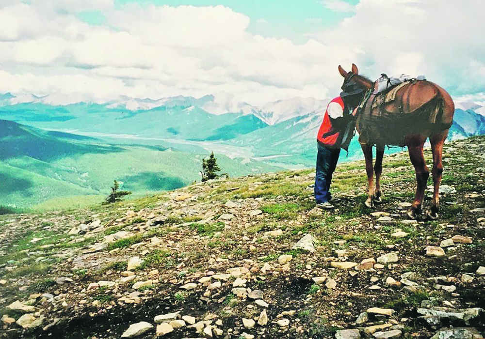 Maizie enjoys the view after carrying an adoring greenhorn to the top of a 7,200 foot mountain. | Supplied photo