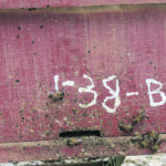 Bees place spots of dung near the entrance to their hive. | University of Guelph photo