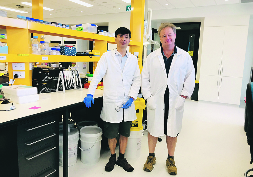 Ming Luo, left, and Mick Ayliffe of Australia’s Commonwealth Scientific and Industrial Research Organization are working on improving rust resistance in wheat.  | CSIRO photo