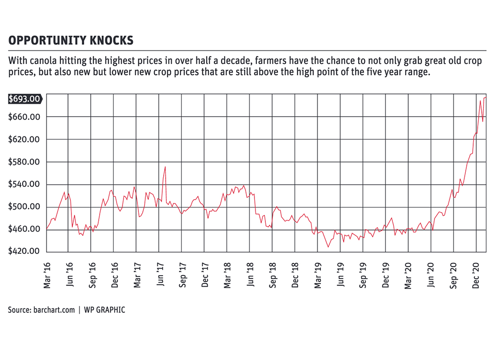 Canola not GameStop, but options can still work there