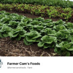 In a news release, the B.C. government said the 64 successful applicants - of which Farmer Cam's Foods is one - are from 54 communities and include seven Indigenous owned and operated agricultural businesses. There are also 19 young farmer recipients younger than 35, which includes 13 female entrepreneurs. | Screencap via Facebook/Farmer Cam's Foods