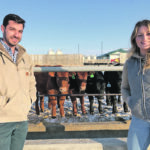 Gabriel Ribeiro and Jenna Sarich stand in front of their research cattle at the Livestock Forage Centre of Excellence near Clavet, Sask.  | Livestock Forage Centre of Excellence photo