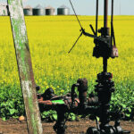 Lars De Pauw, executive director of the OWA, said the association will spend $200 million this year and $217 million next year decommissioning and reclaiming oil and gas well company assets and is making steady progress. | File photo