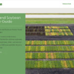 The MPSG has been buffeted by the dreadful 2019 soybean harvest, followed by the disruptions of COVID-19. The impact can be seen in the organization’s net check-off levies for 2020 increasing by more than $1million to $3.38 million from $2.6 million.
| Screencap via manitobapulse.ca