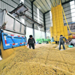 Soybean prices are forecast to