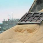 Chinese imports got off to a slow start in 2020 but picked up steam in the second half of the year with a wave of soybean and corn purchases. | Reuters photo