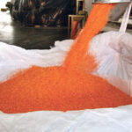 Canada shipped out 750,000 tonnes of red lentils between August and December 2020, Rav Kapoor, chief executive officer of ETG Commodities, said during the India Pulses and Grains Association's recent National Pulses Seminar. | File photo
