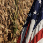 Juan Cortina, president of Mexico’s Farm Council, said he thinks the lawsuits are needed to get the government to back down. | File photo