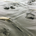 A small, two-inch wide trickle of air from the pit bottom, seven feet below the surface, bubbles up into a four-foot diameter mushroom circle. The Smart Manure system works for indoor slurry pits as well as outdoor lagoons. | Smart Manure photo