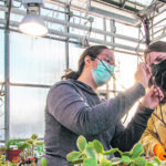 Horticulture Instructor Jennifer Wasko teaches Madeline Kennedy of Saskatoon how to propagate an Elderwood in Assiniboine Community College’s greenhouse at the North Hill Campus while Leanne Plews works on her project in the background. | Sandy Black photo