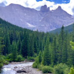 Vagueness regarding the identity of six coal projects currently under exploration for potential development is worrying, says Ian Urquhart conservation director for the Alberta Wilderness Association. | Laura Laing, Plateau Cattle Co. photo