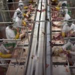 Jim Carr, special representative for the Prairies, said March 2 that the Emergency Processing Fund was designed to help protect meat plant employees fro COVID-19 through various safety measures implemented by plant operators. | Facebook/JBS Canada photo