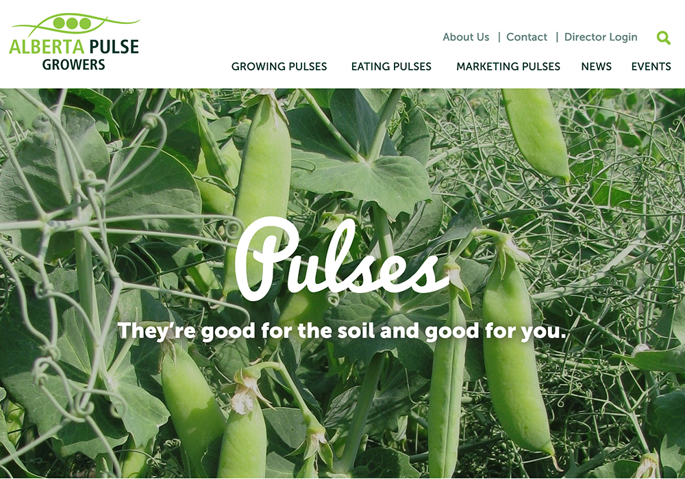 The Alberta Pulse Growers Commission plans to invest $1.06 million toward studies of aphanomyces root rot, wireworm and pea leaf weevil. | Screencap via albertapulse.com