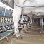 Canadian dairy and lumber were repeatedly brought up, as were Mexican potatoes and industrial products. | File photo