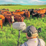 A behind-the-scenes look during filming of the Flat Out Foods series at Box H Farm’s grass-finished beef ranch near Gladmar, Sask. | Flat Out Food Productions photo
