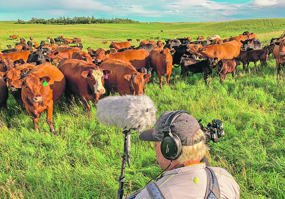 A behind-the-scenes look during filming of the Flat Out Foods series at Box H Farm’s grass-finished beef ranch near Gladmar, Sask. | Flat Out Food Productions photo