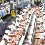 Derek Johnstone, special assistant to the national president of the United Food and Commercial Workers Union of Canada (UFCW), told a parliamentary committee on Feb. 18 that the past year has