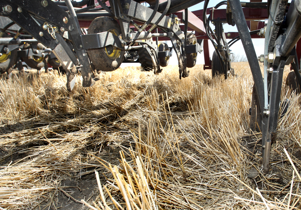 Producers won't be getting any credit for being zero-till, or having perennial forage coverage, particularly if those efforts were completed prior to 2017. | File photo
